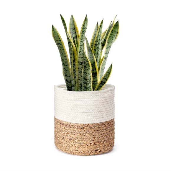 Boho rope woven basket plant tee natural tan white - Picture 2 of 8